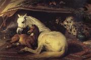 Sir Edwin Landseer The Arab Tent china oil painting reproduction